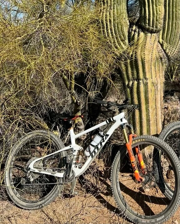 2025 El Hombre Demo Bike Size Medium
